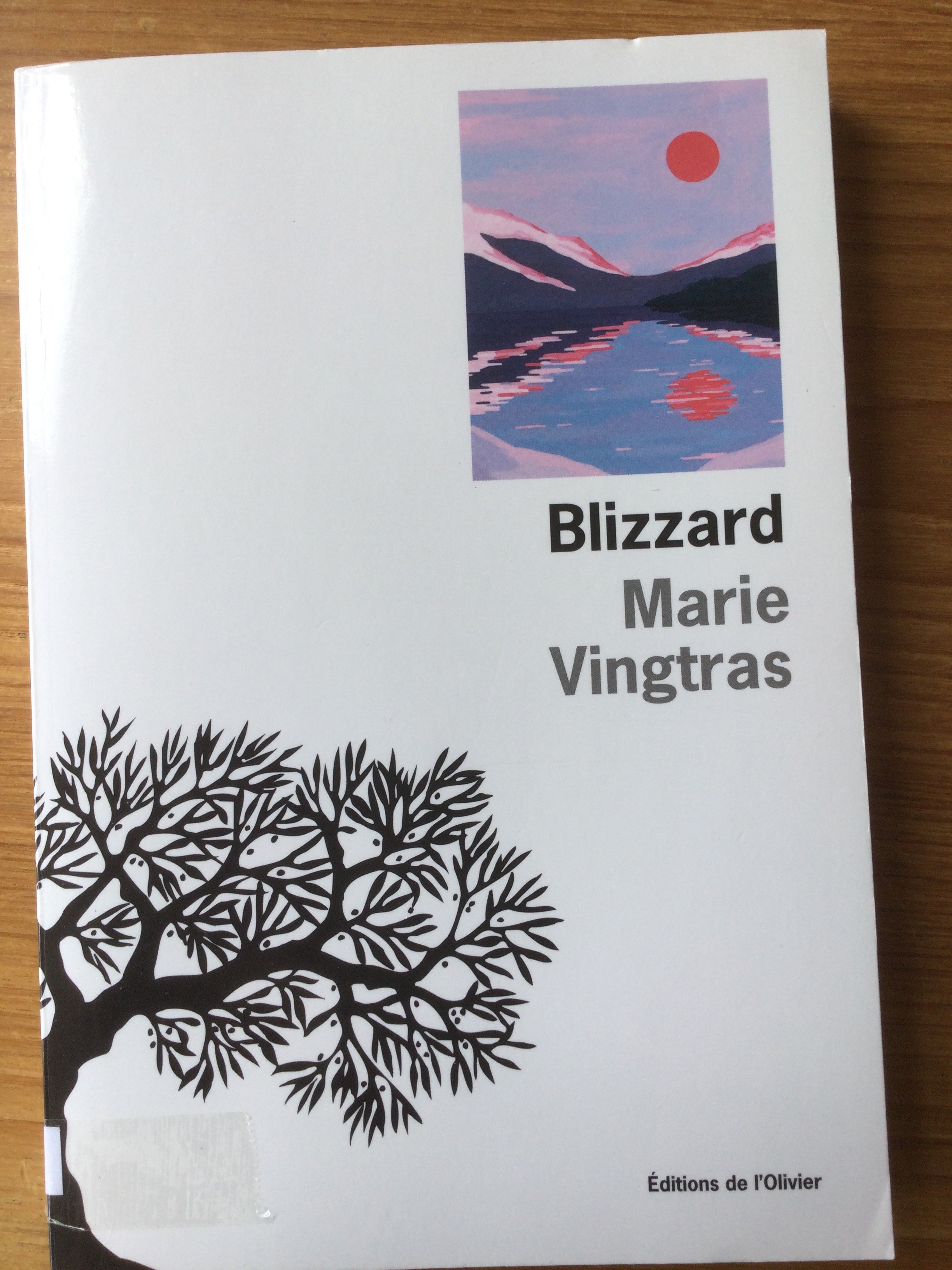 Blizzard - Click to enlarge picture.