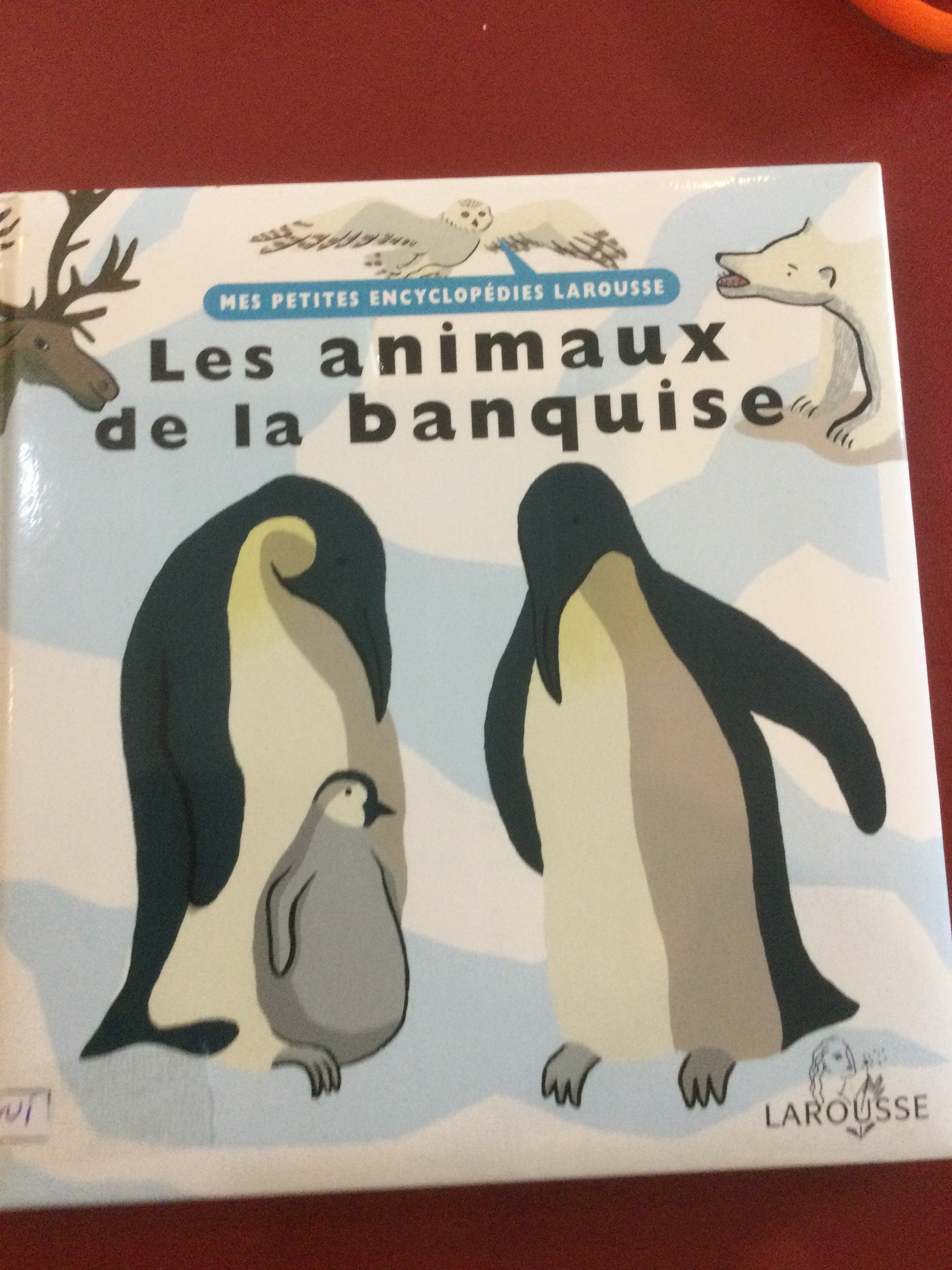 Les animaux de la banquise - Click to enlarge picture.