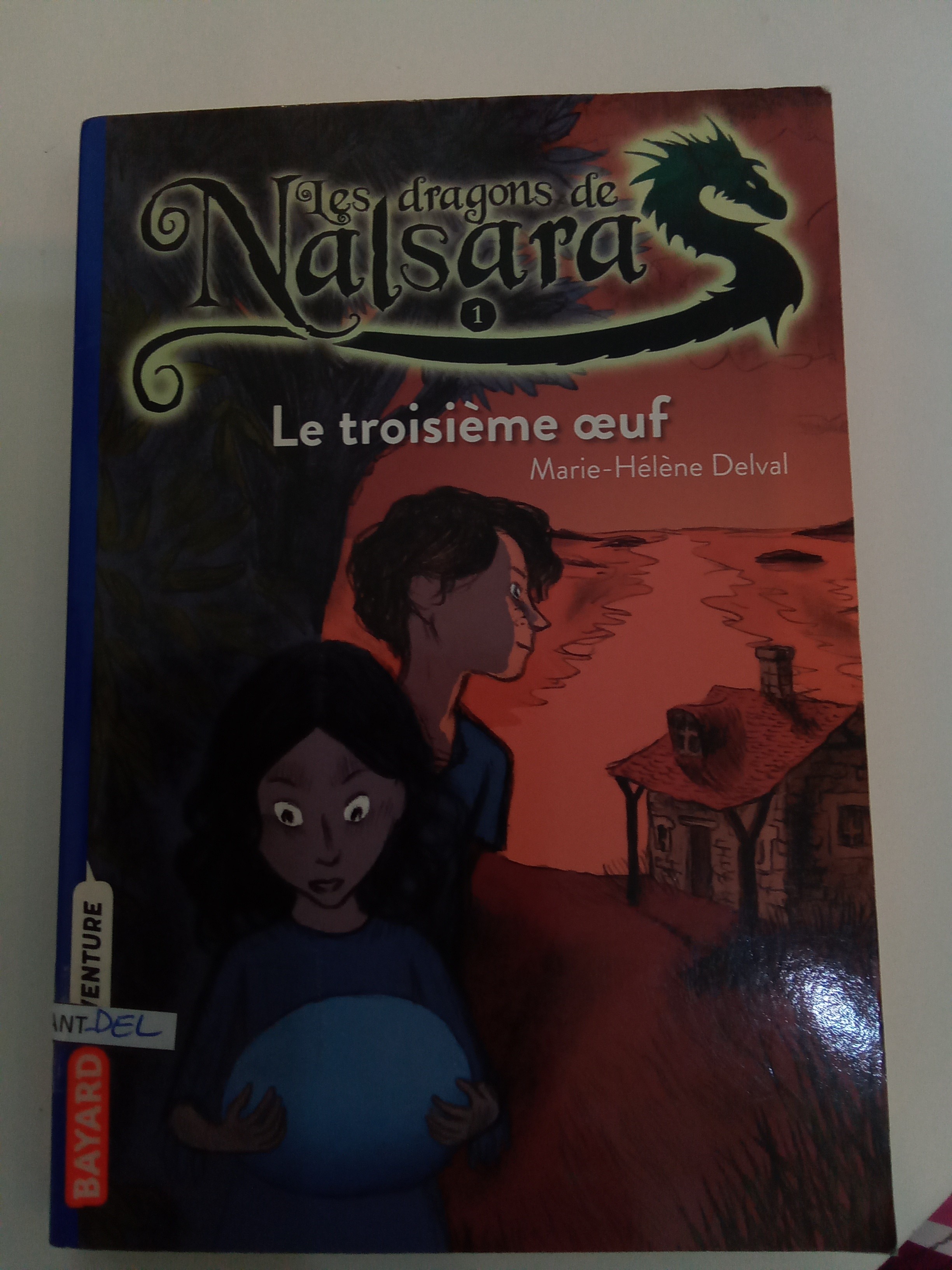 Les dragons de Nalsara - Tome 1 - Click to enlarge picture.
