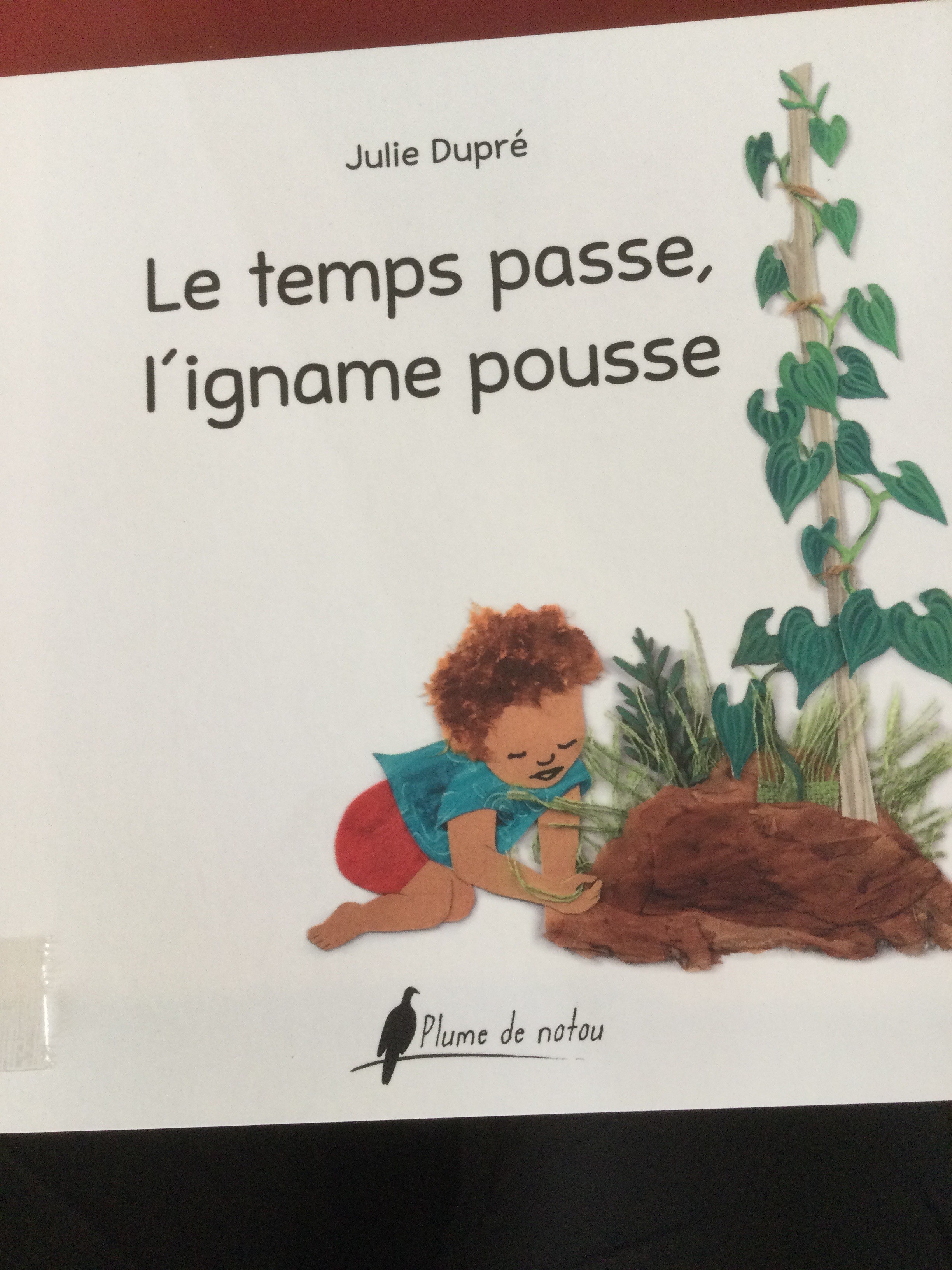 Le temps passe, l’igname pousse - Click to enlarge picture.