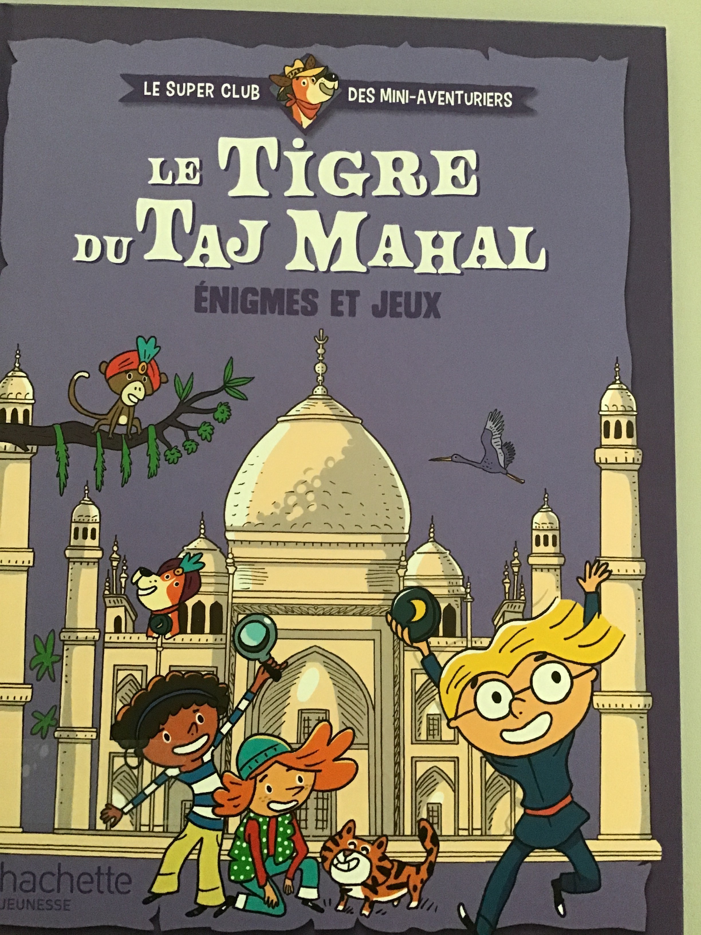 Le tigre du Taj Mahal - Click to enlarge picture.