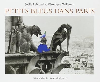 Petits bleus dans Paris - Click to enlarge picture.