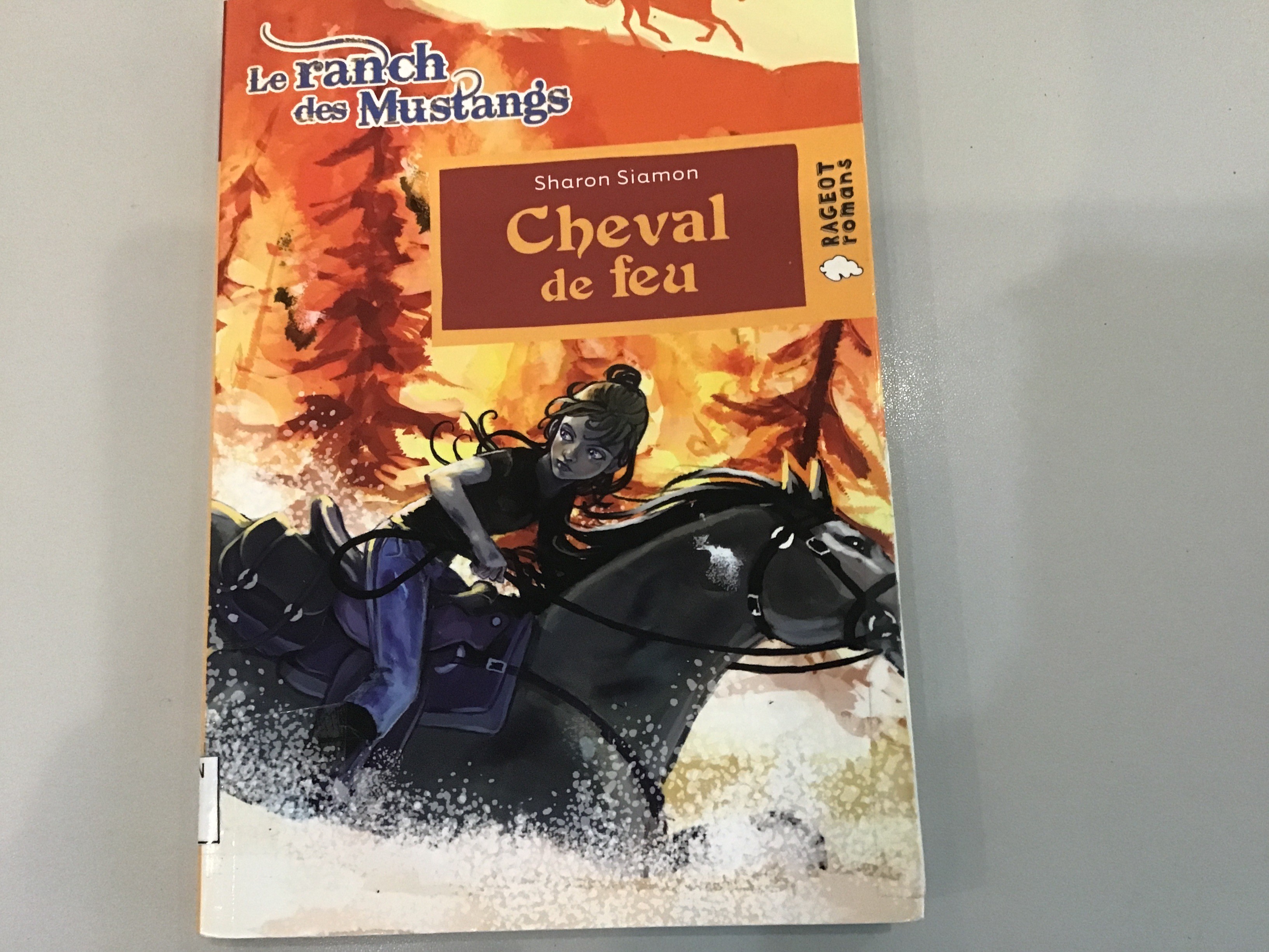 Cheval de feu - Click to enlarge picture.