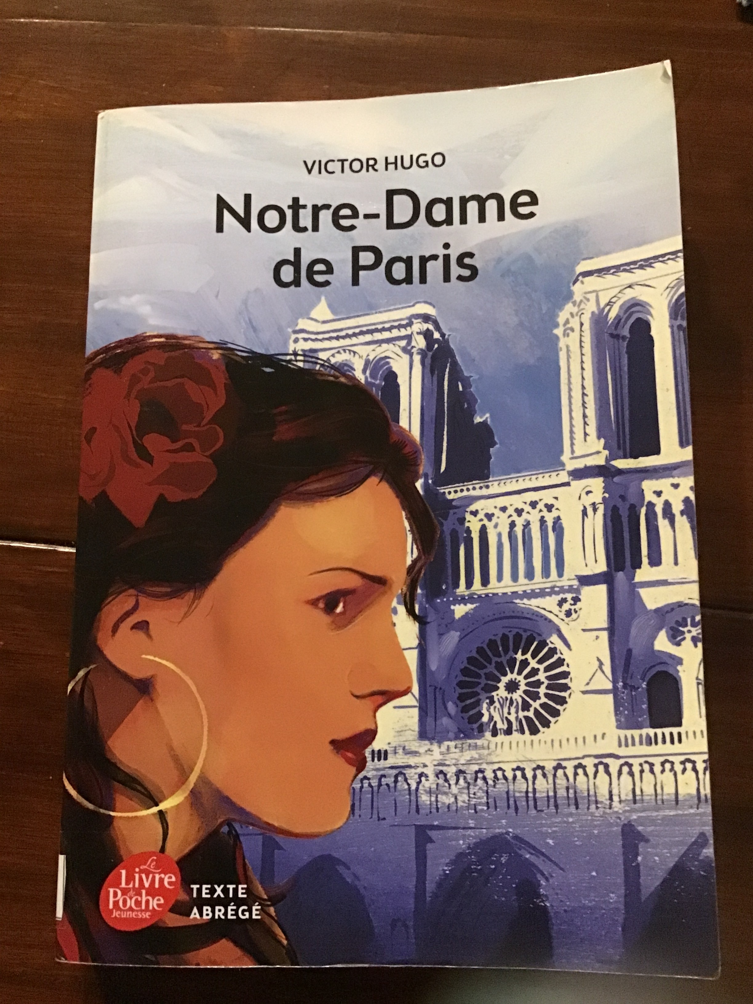 Notre -Dame de Paris - Click to enlarge picture.