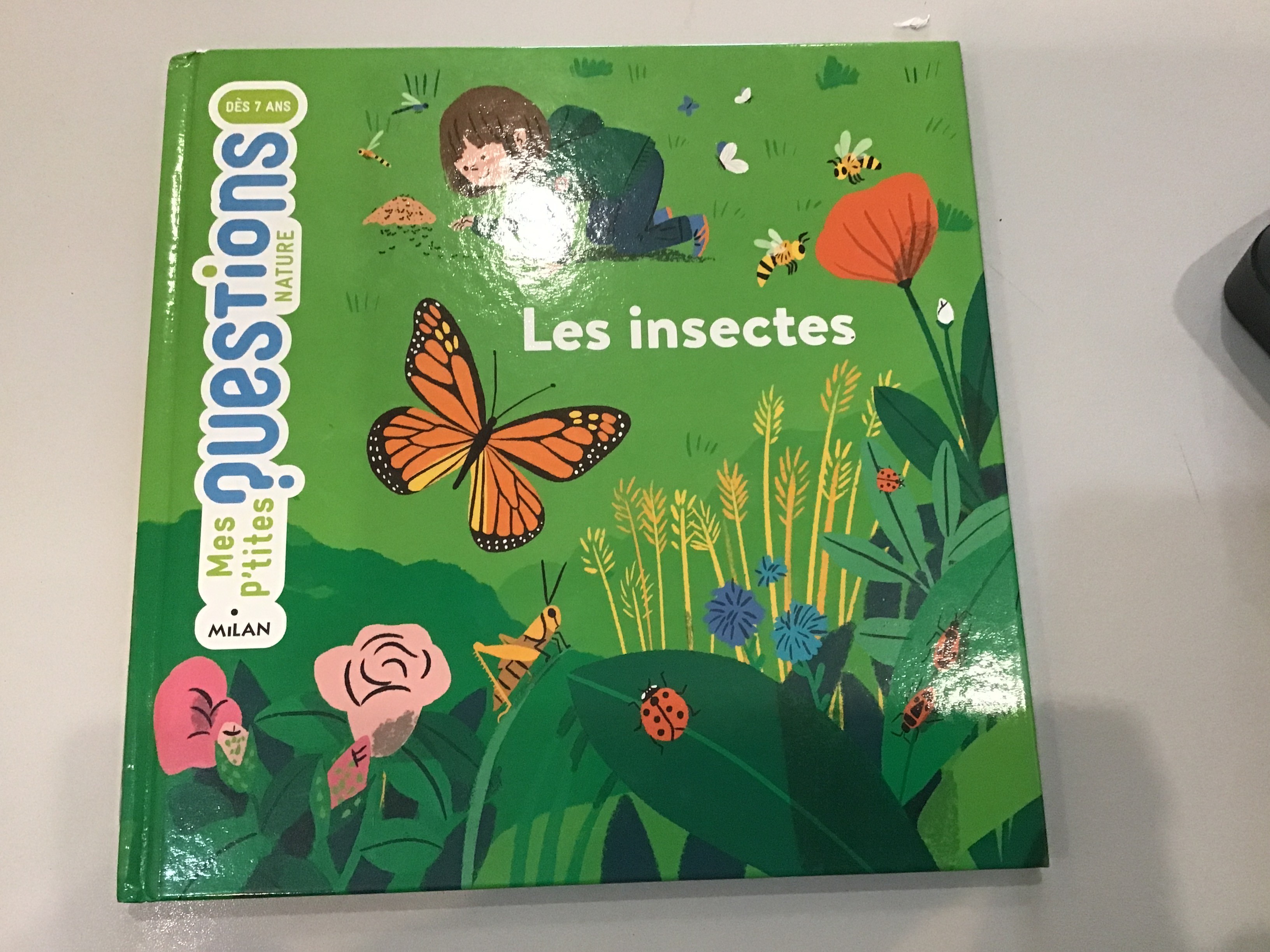 Les insectes - Click to enlarge picture.
