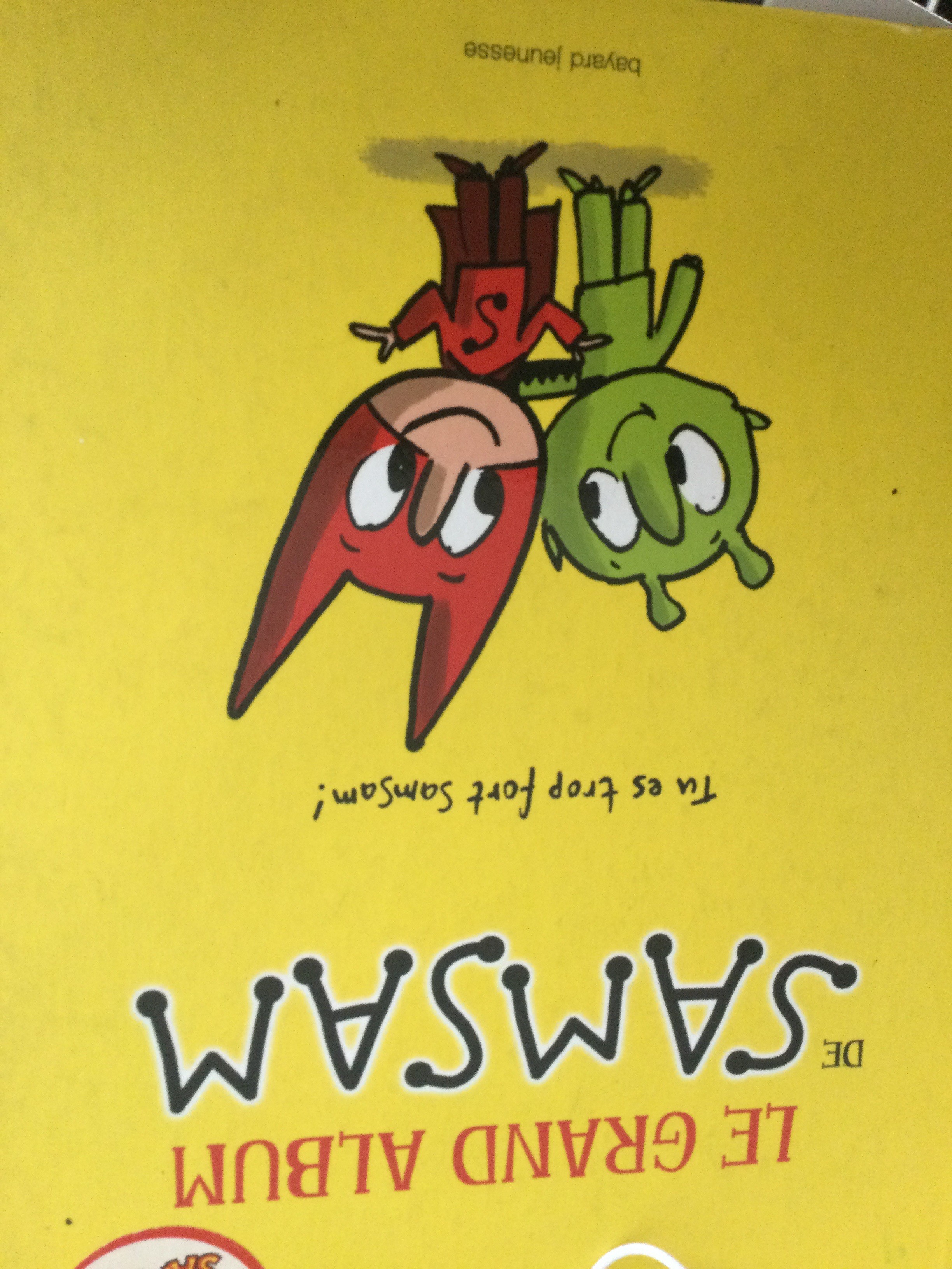 le grand album de sam sam - Click to enlarge picture.