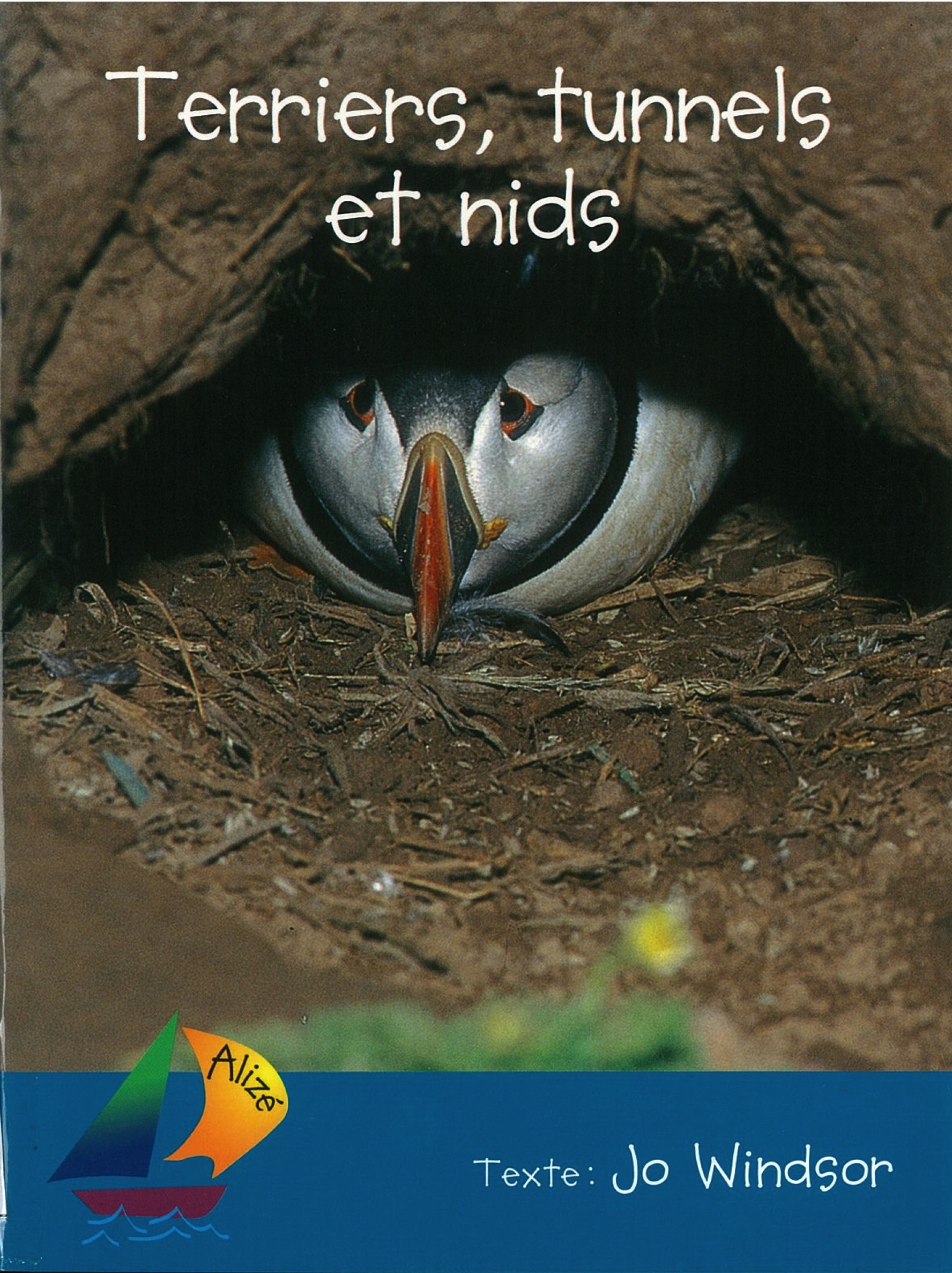 Terriers, tunnels et nids - Click to enlarge picture.
