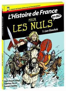 L'histoire de France en BD  pour les nuls - Click to enlarge picture.