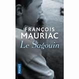 Le sagouin - Click to enlarge picture.