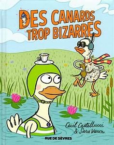 Des canards trop bizarres - Click to enlarge picture.