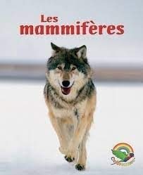 Les mammifères - Click to enlarge picture.