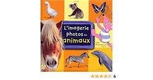 L’imagerie photos ces animaux - Click to enlarge picture.