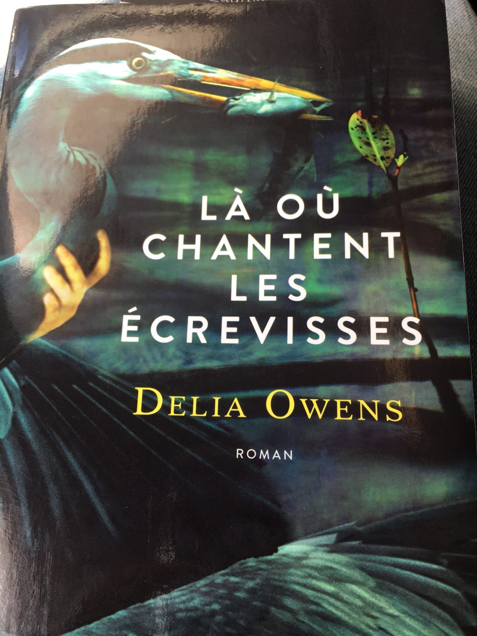 La où chantent les ecrevisses - Click to enlarge picture.