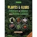 Plantes et fleurs  endémiques - Click to enlarge picture.