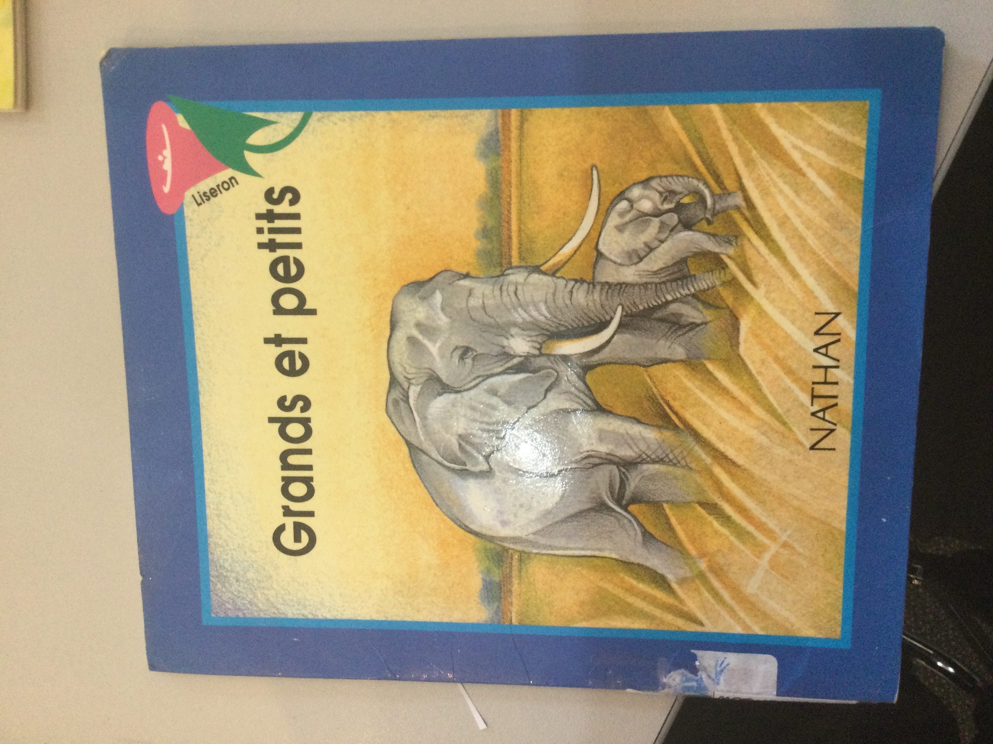 Grands et petits - Click to enlarge picture.