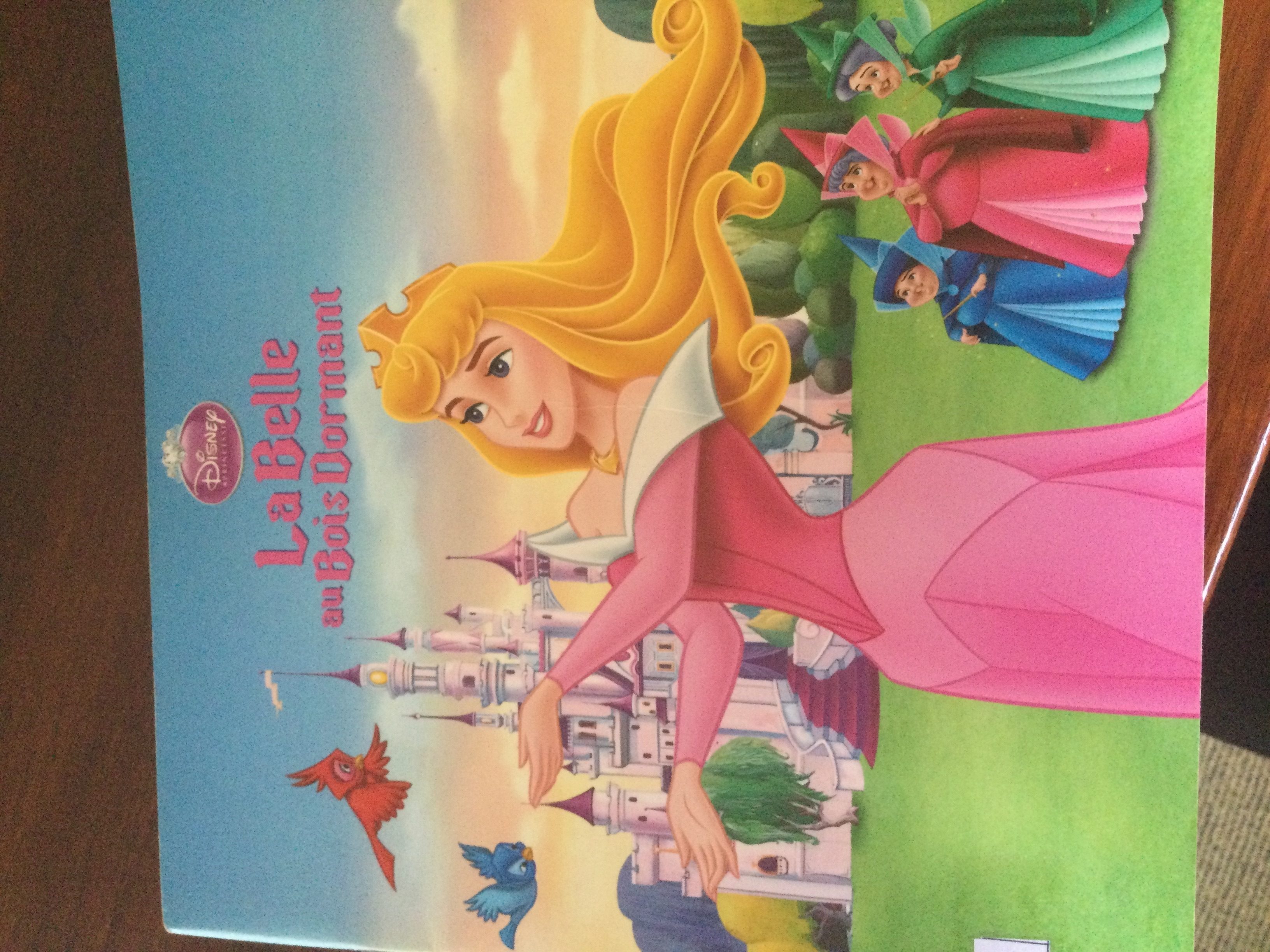 La belle au bois dormant - Click to enlarge picture.