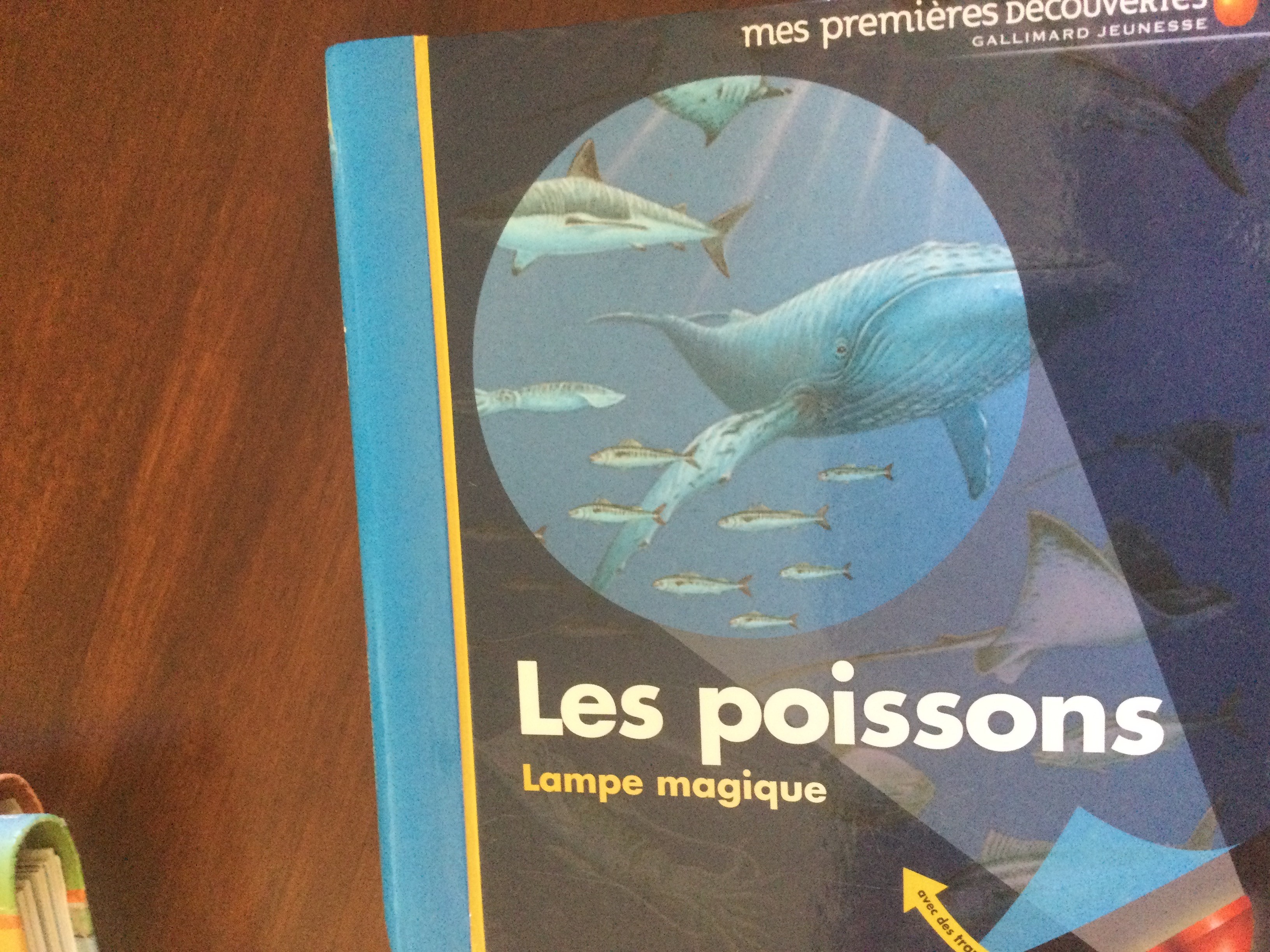 Mes premières découvertes - Click to enlarge picture.