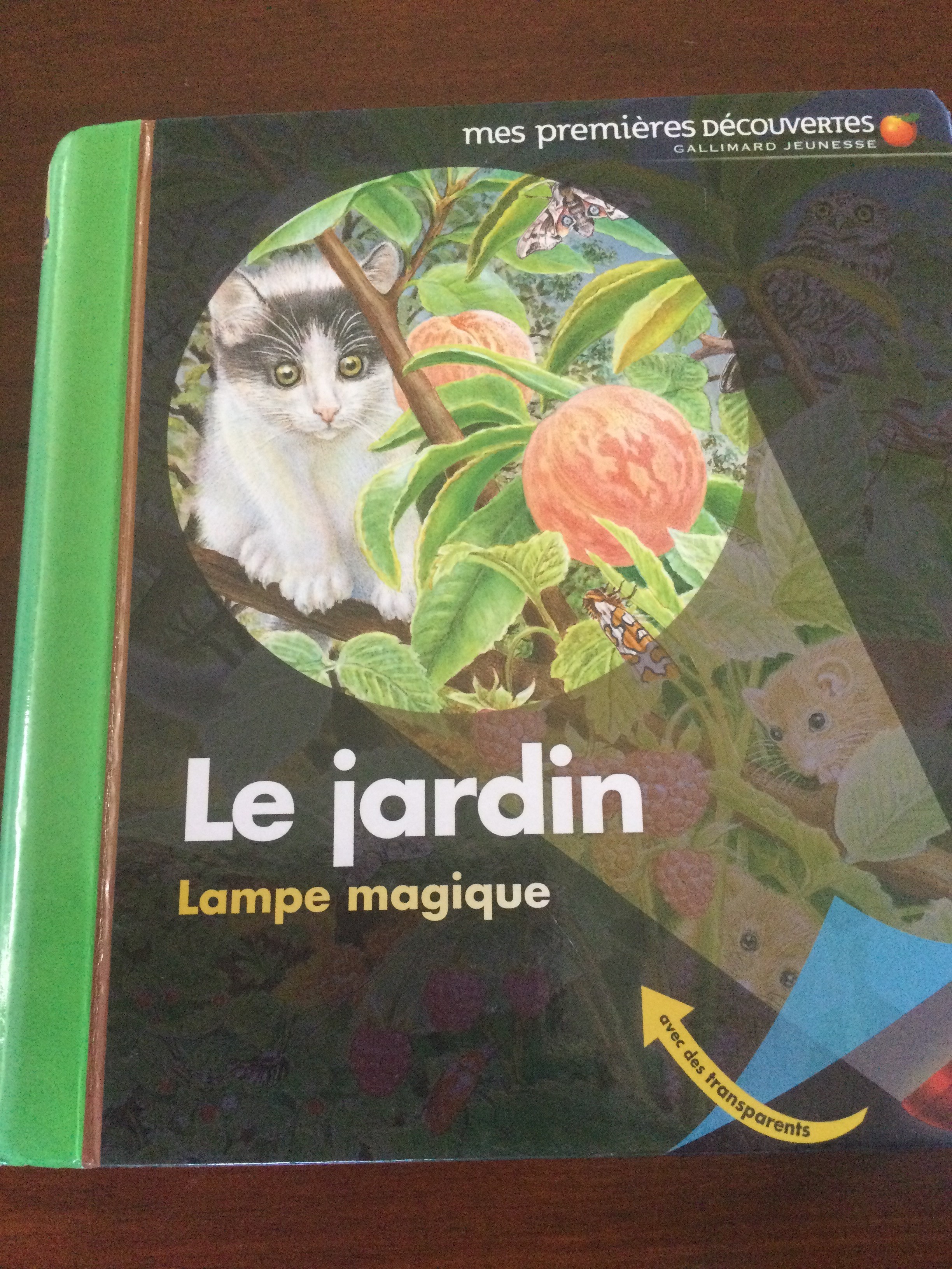 Mes premières découvertes - Click to enlarge picture.