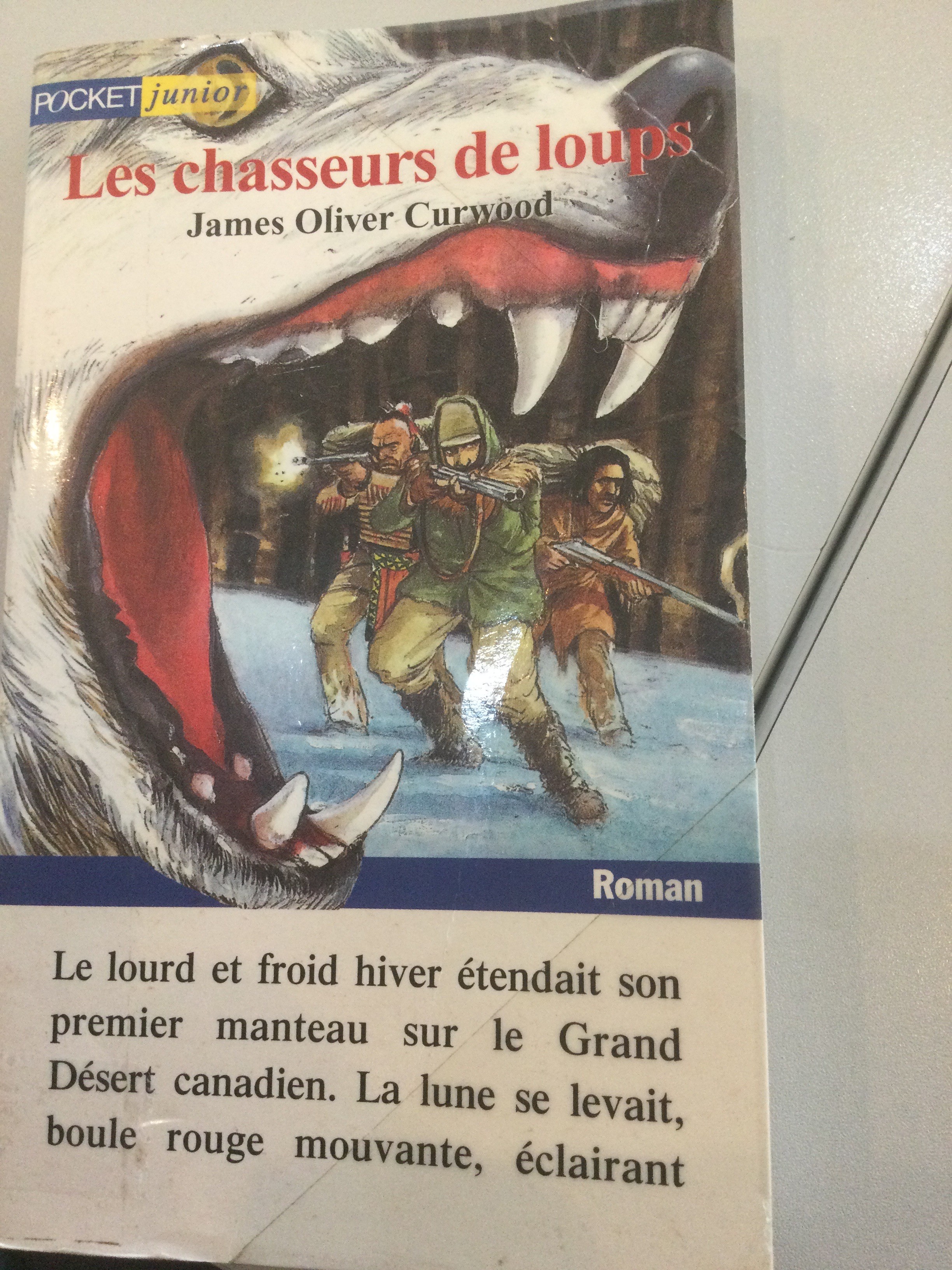 Les chasseurs de loups - Click to enlarge picture.