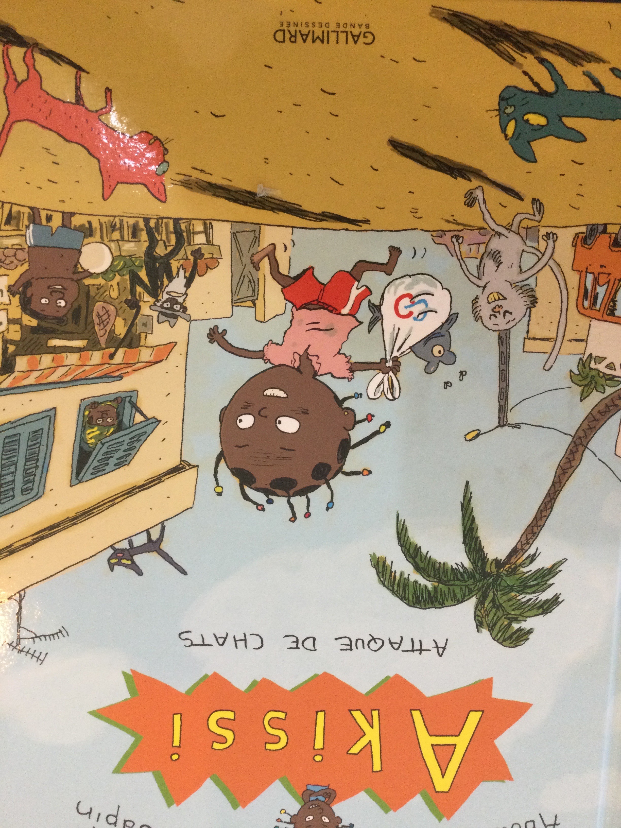 Akissi - Click to enlarge picture.