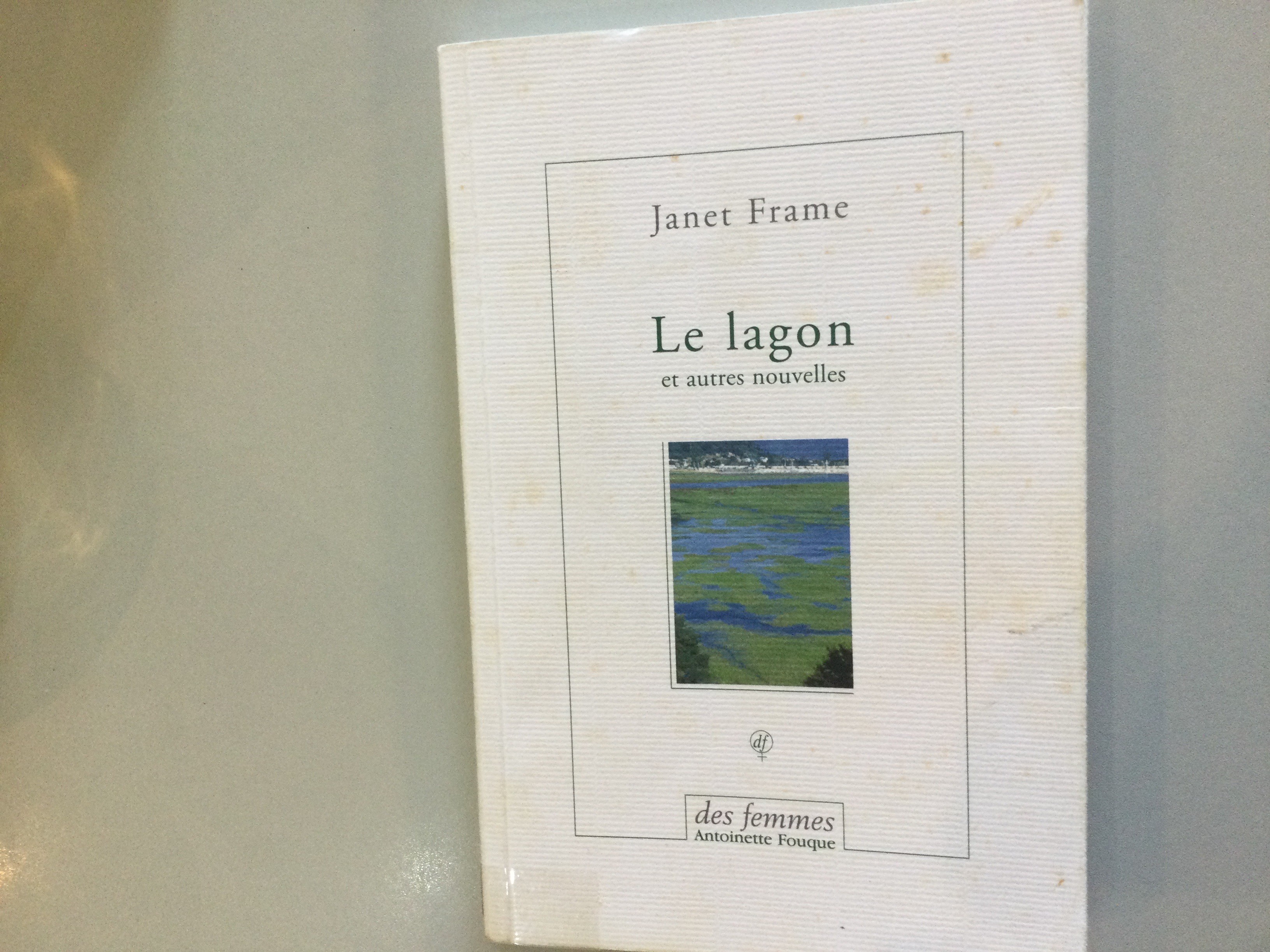 Le lagon - Click to enlarge picture.