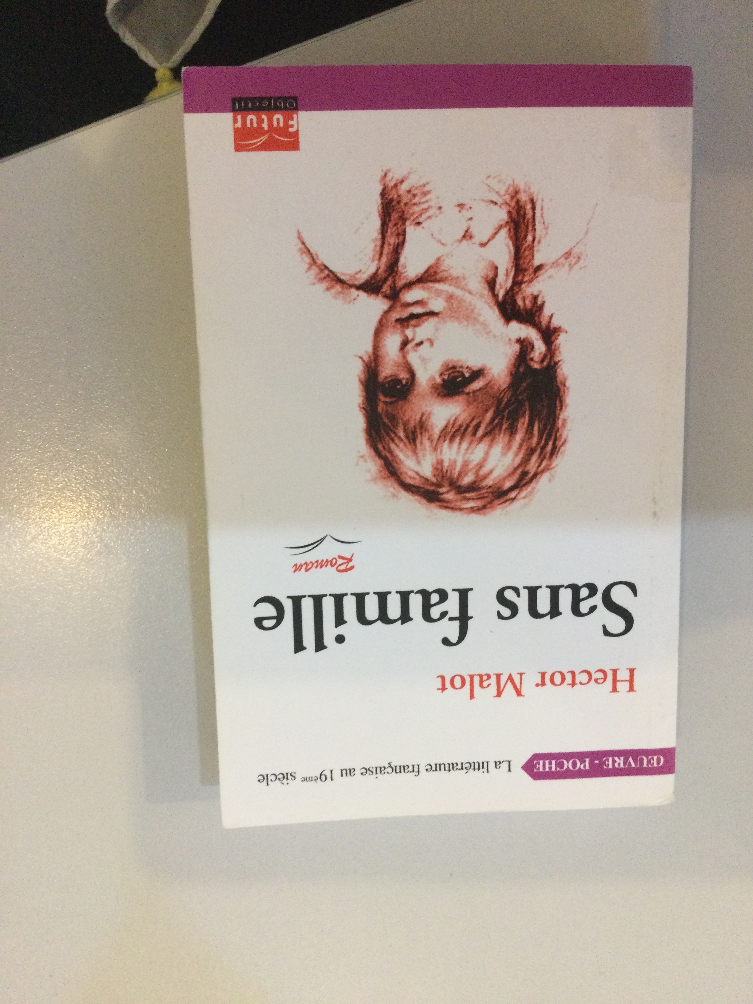 Sans famille - Click to enlarge picture.