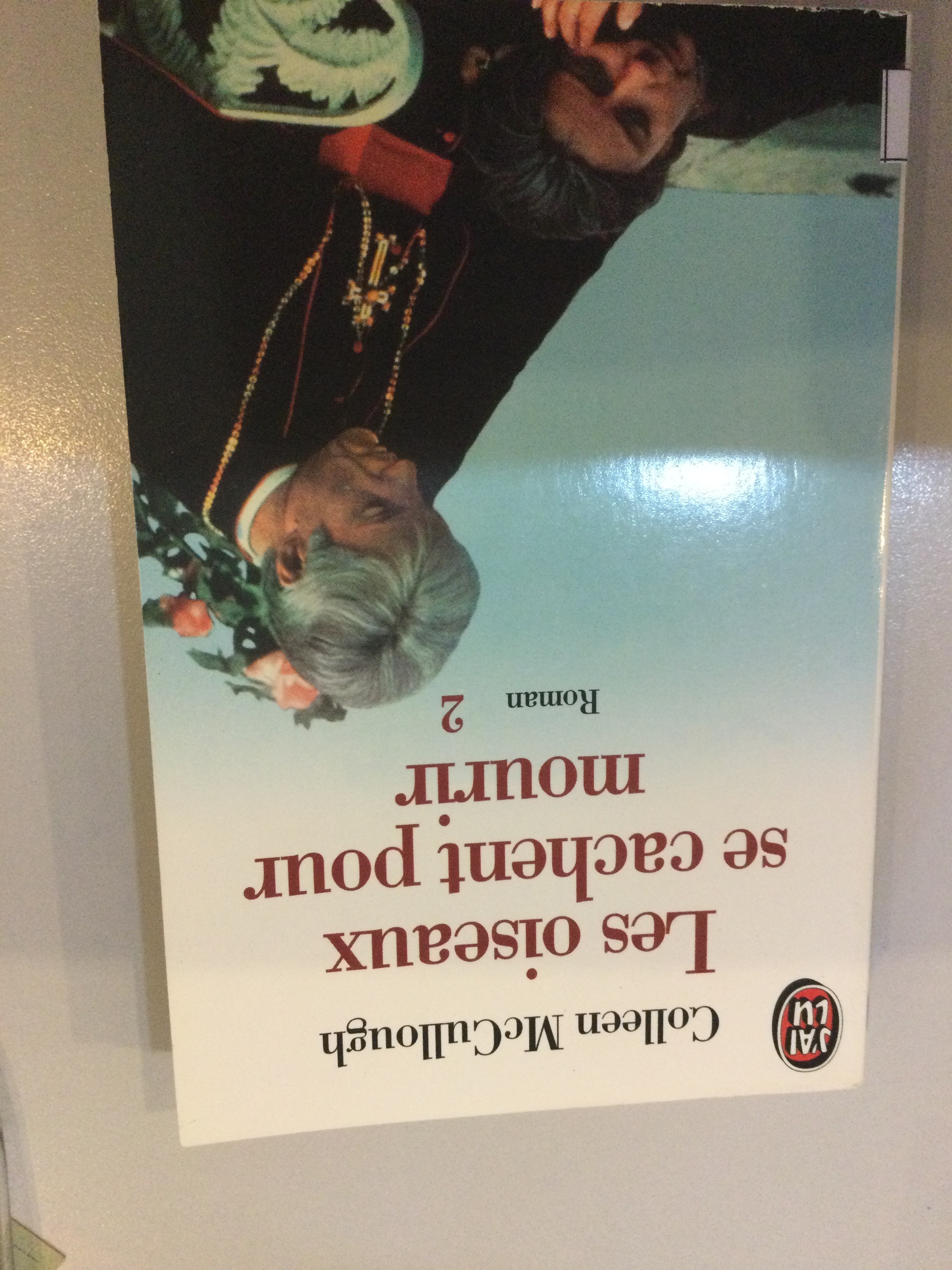 Les oiseaux se cachent pour mourir 2 - Click to enlarge picture.