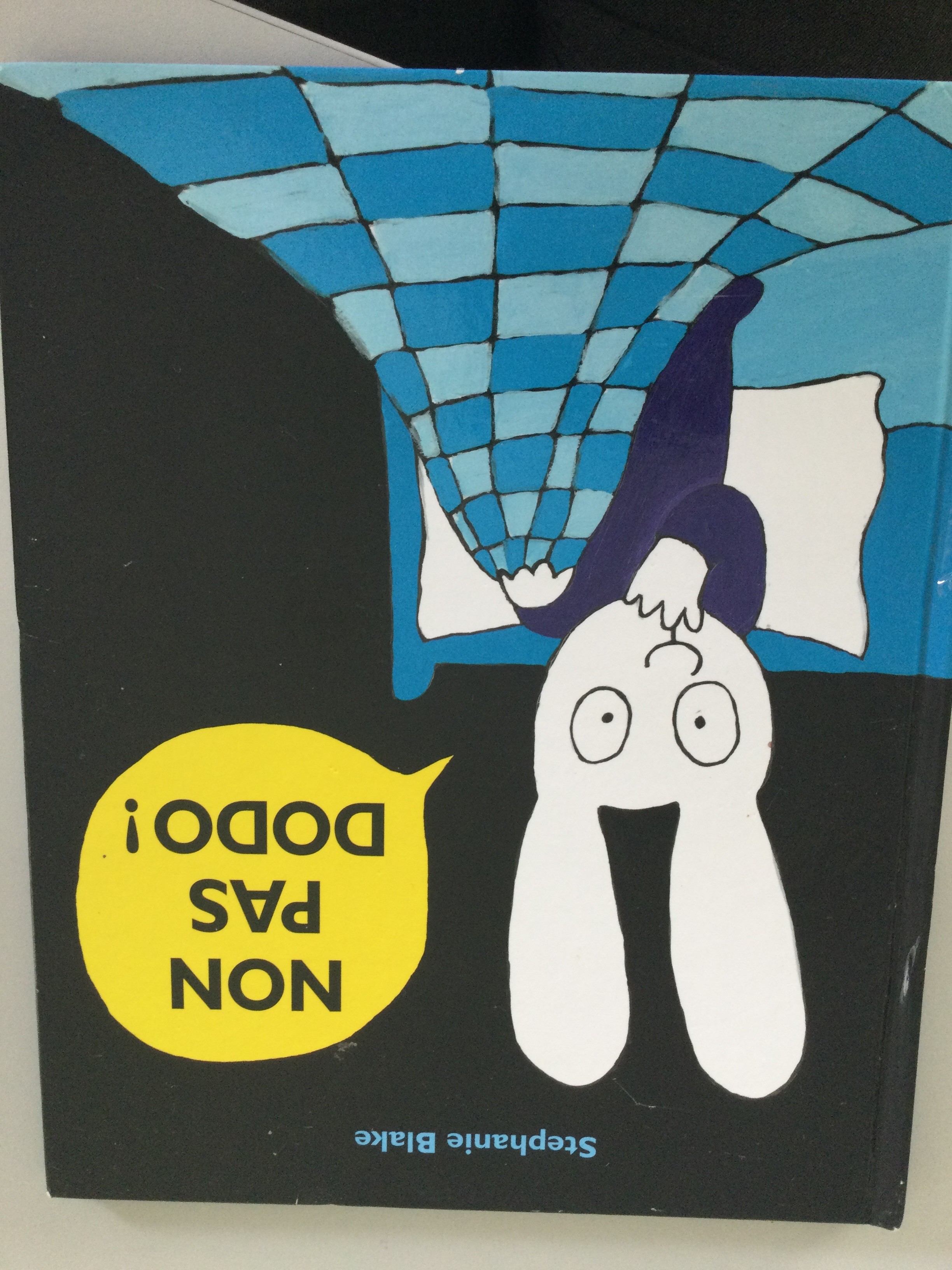 Non pas dodo - Click to enlarge picture.