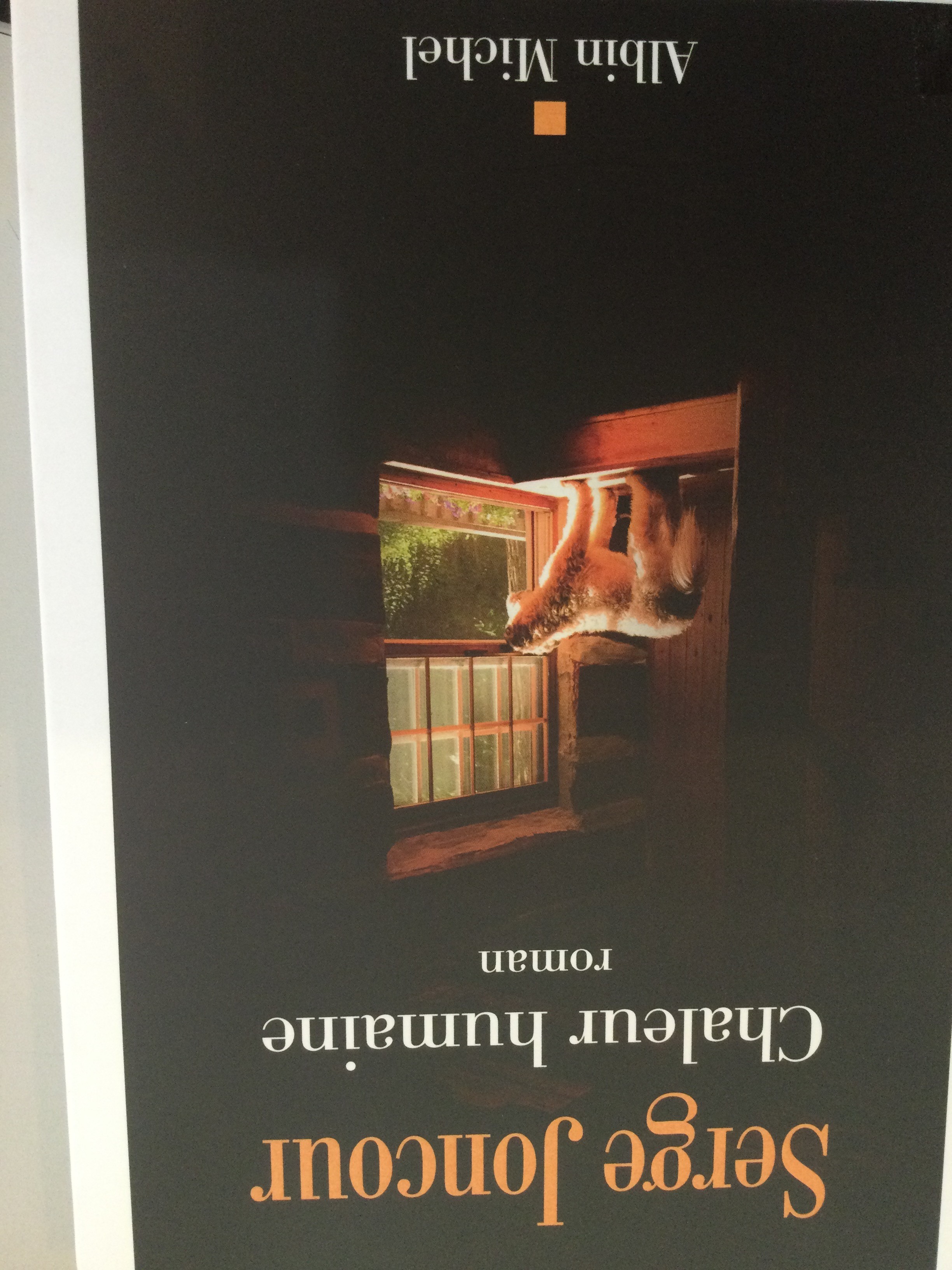 Chaleur humaine - Click to enlarge picture.