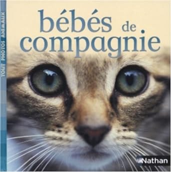 bebes de compagnie - Click to enlarge picture.