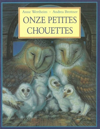 Onze petites chouettes - Click to enlarge picture.