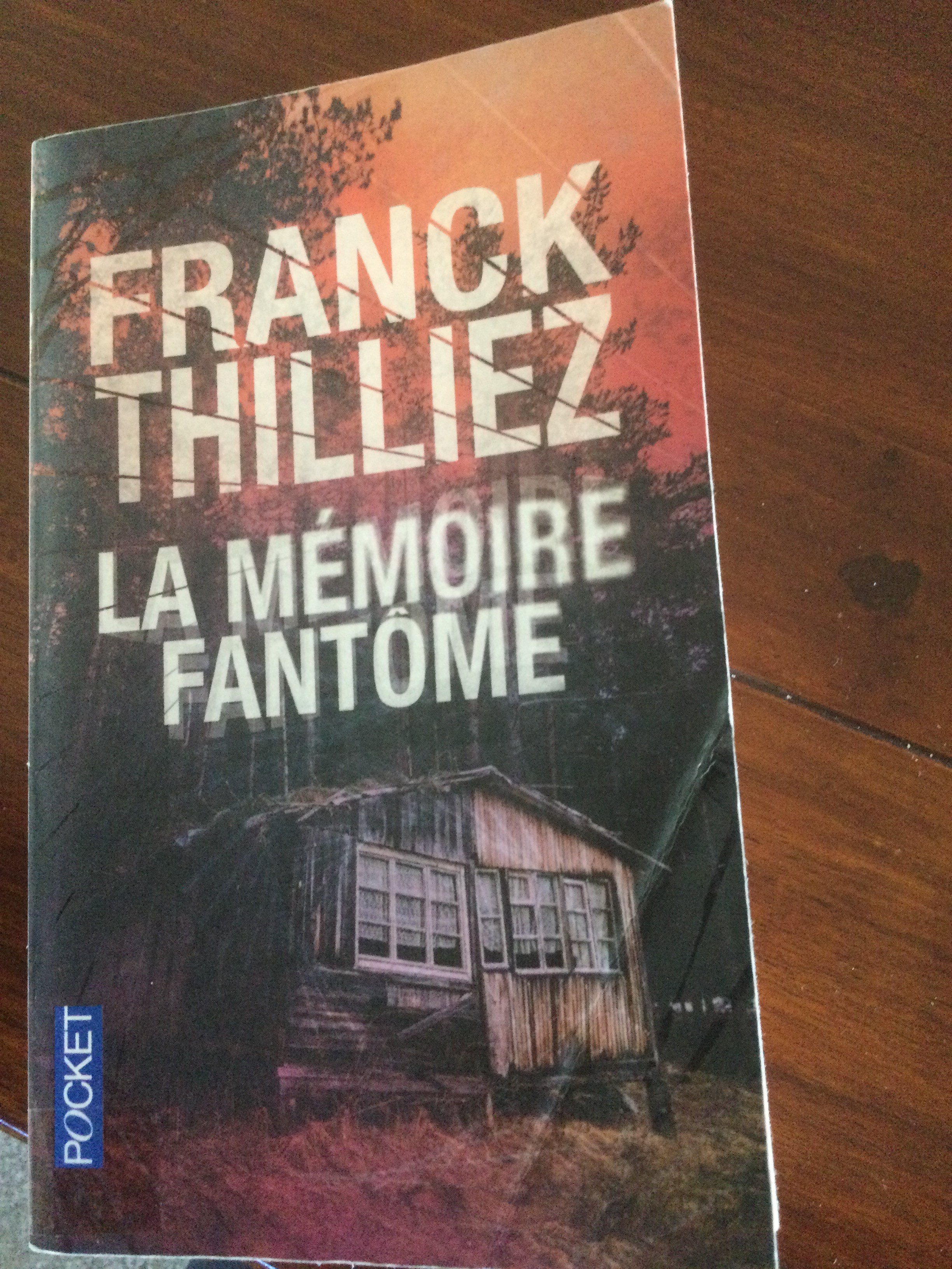 La mémoire fantôme - Click to enlarge picture.