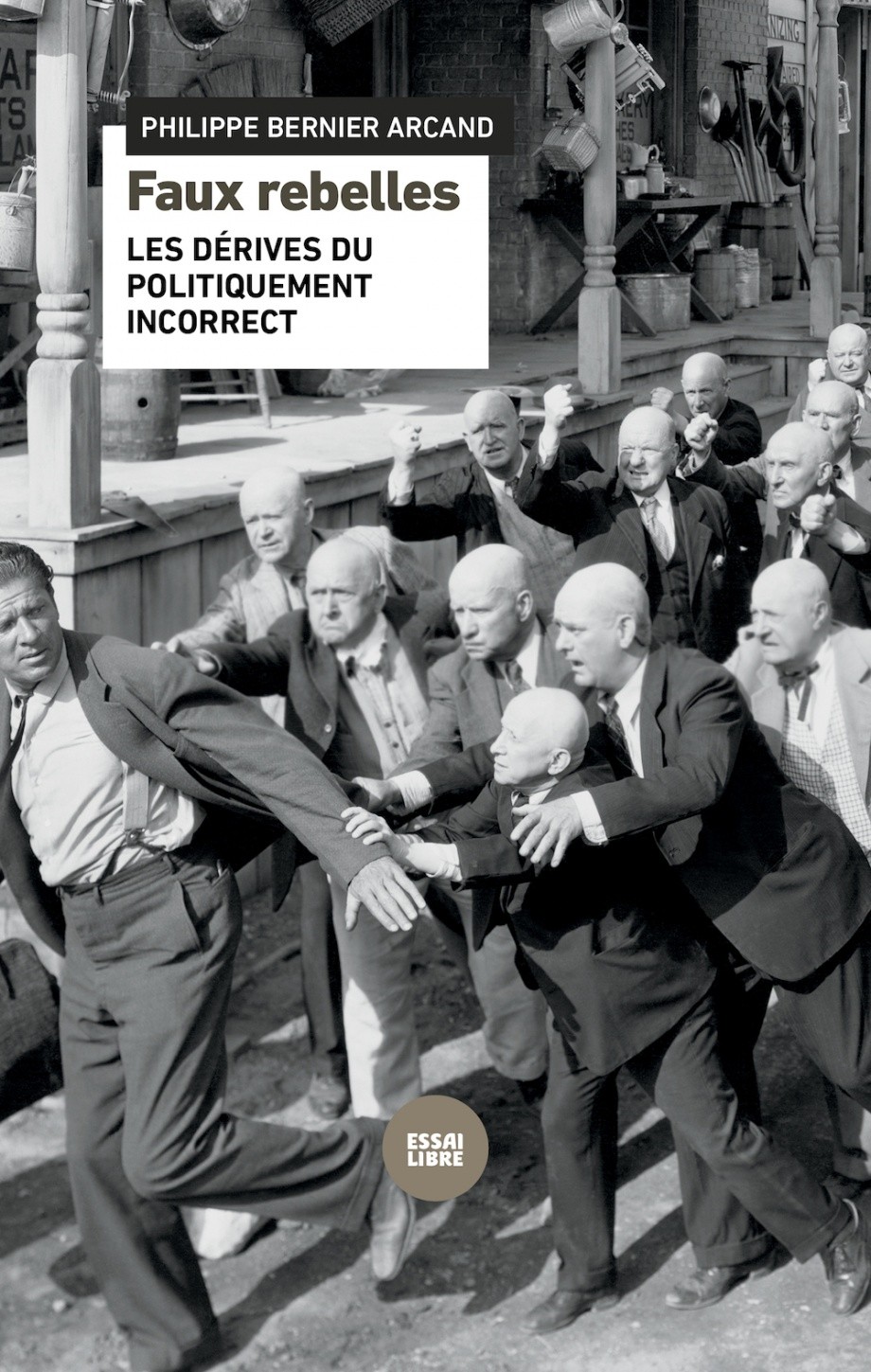 Faux rebelles - Click to enlarge picture.