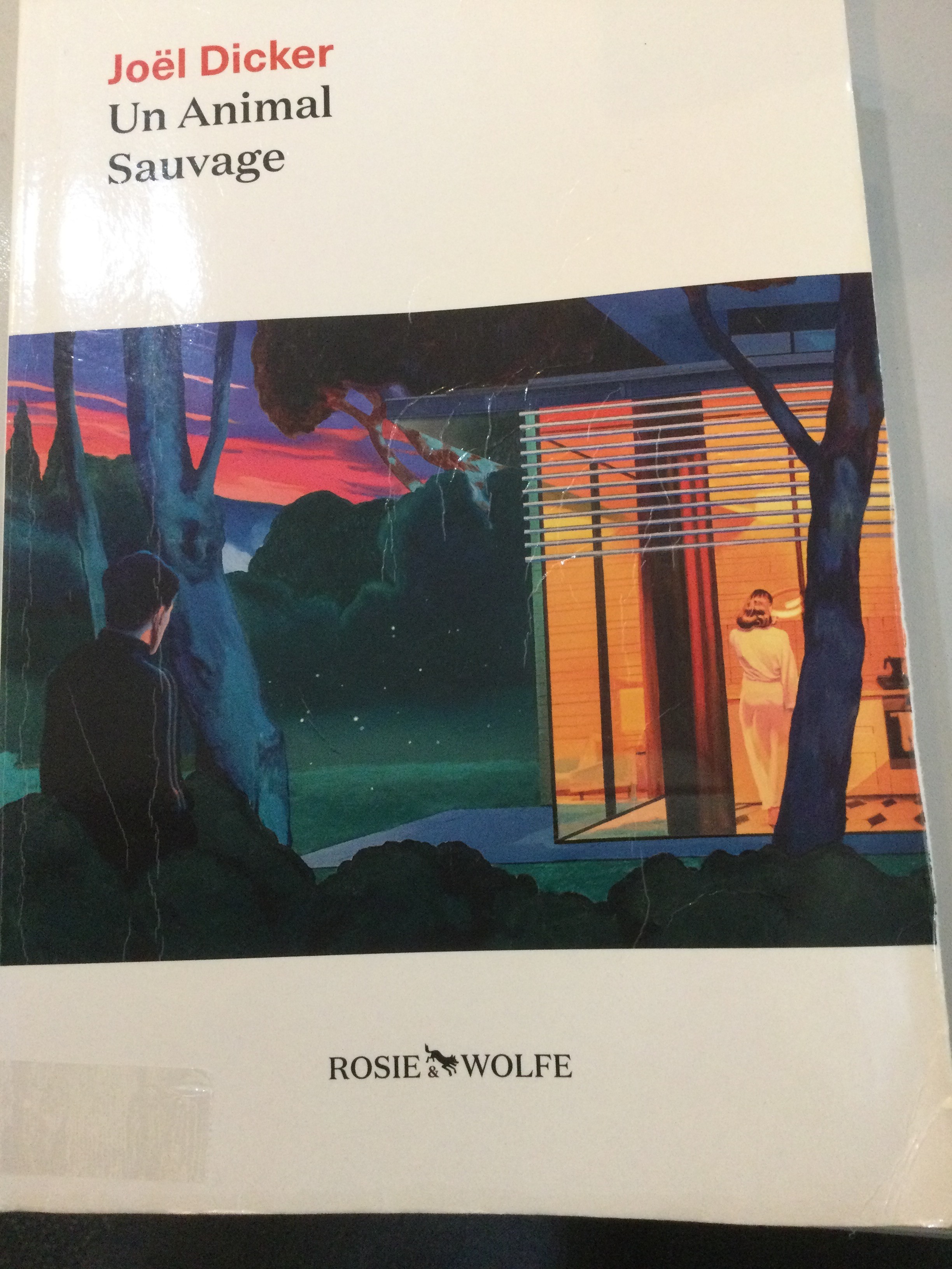 Un animal sauvage - Click to enlarge picture.