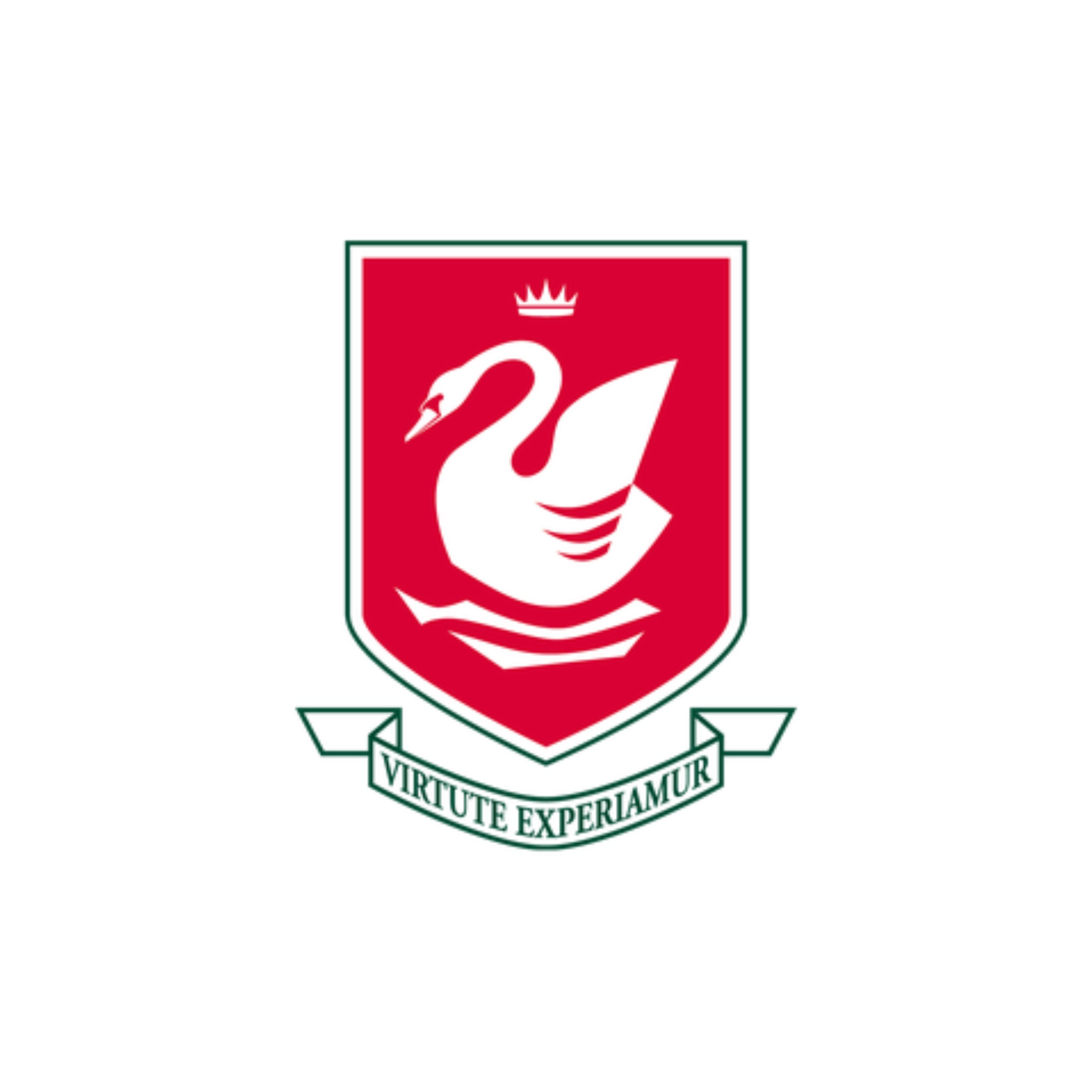 School 12